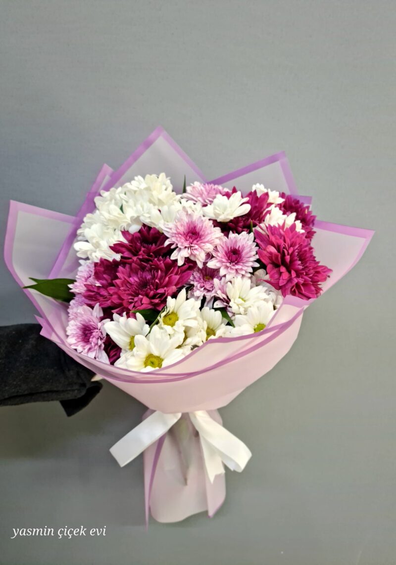 KASIMPATI KARIŞIK RENKLİ CANLI